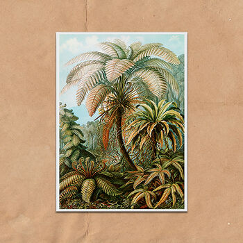 Botanical Ferns Vintage Style Art Print, 3 of 4