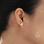 Maple Leaf Stud Earrings In Sterling Silver, thumbnail 8 of 11