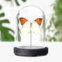 Great Orange Tip Insect Bug Moth Butterfly Bell Jar Entomology Taxidermy Interior Design Home Decor Cloche Modern Display Gift Ornament, thumbnail 1 of 4