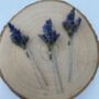 Dried Lavender Flower Hair Pins, thumbnail 1 of 8