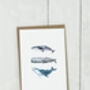Personalised Whale Birthday Card, thumbnail 4 of 5