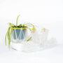 Origami Self Watering Eco Plant Pot: 10cm | Celery Cord, thumbnail 6 of 6