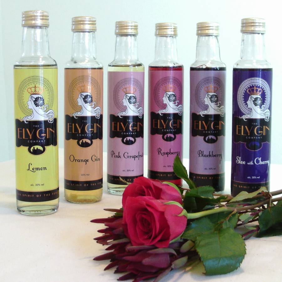 ely gin six bottle mixed case by the ely gin company