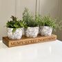 Personalised Indoor Herb Planter, thumbnail 3 of 8