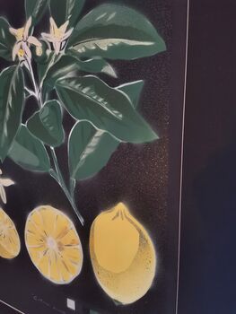 'Citrus Limon' Original Signed Spraypaint, 6 of 12