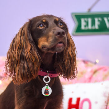 Personalised Dog Tag Christmas Elf Collar Charm, 4 of 12