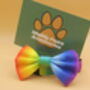 Rainbow Ombré Dog Collar And Lead Accessory Set, thumbnail 12 of 12