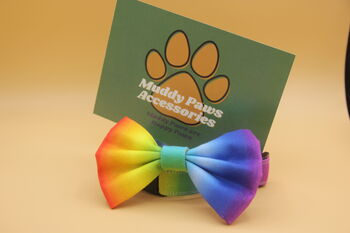 Rainbow Ombré Dog Collar And Lead Accessory Set, 12 of 12