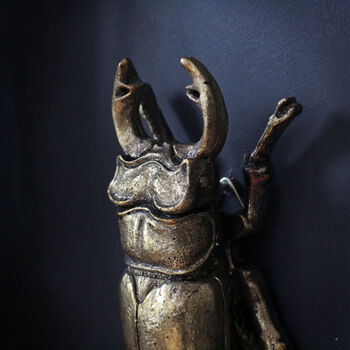 Male Stag Beetle Wall Ornament, 2 of 2