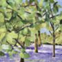 Bluebells, Enys Gardens, Cornwall, Collage Art Print, thumbnail 4 of 6