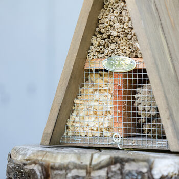 Father's Day Wildlife Insect Hotel, 2 of 4