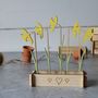 Personalised Wooden Daffodil Flower Box, thumbnail 4 of 6