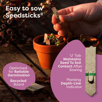 Personalised Wild Meadow Seedsticks® Gift Pack, 7 of 11