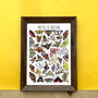 Moths Of Britain Wildlife Print, thumbnail 7 of 10
