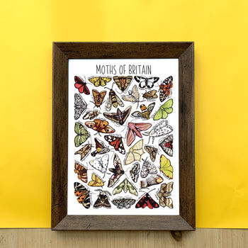 Moths Of Britain Wildlife Print, 7 of 10