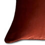 Cinnamon Red Velvet Cushion, thumbnail 3 of 5