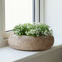 Marbury Round Rattan Table Planter, thumbnail 5 of 8