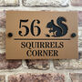 Personalised Squirrel Design House Acrylic Number Sign, thumbnail 1 of 6