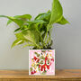 'Love You Mum' Mother's Day Plant Pot And Houseplant, thumbnail 1 of 7