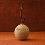Gazelle Finial Travertine Sphere Box, thumbnail 1 of 2