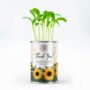 Personalised Grow Your Own Flowers Thank You Gift, thumbnail 3 of 4