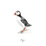 Puffin Personalised Watercolour Fine Art Print, thumbnail 2 of 3