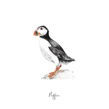 Puffin Personalised Watercolour Fine Art Print, 2 of 3