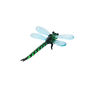 Artisan Glass Dragonfly In Gift Box, thumbnail 3 of 4