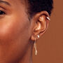 Feather 9ct Gold Pull Through Earrings, thumbnail 5 of 8