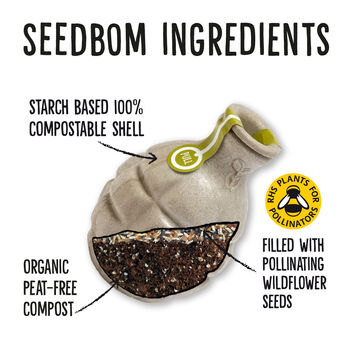 Bee Cell And Pollinator Beebom Gift Set, 8 of 10