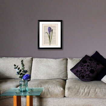 Hyacinth, Vintage Collection Print, 3 of 6