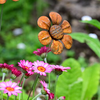 Rusty Metal Daisy, 2 of 5