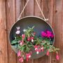 Silver Zinc Hanging Round Wall Planter 35cm Garden Pot, thumbnail 1 of 9