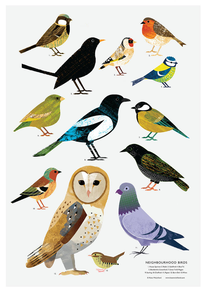 neighbourhood birds print by kate mclelland shop
