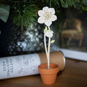 Wooden Christmas Rose With Personalised Terracotta Pot, 7 of 8