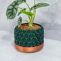 Forest Transform Planter, thumbnail 2 of 4