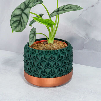 Forest Transform Planter, 2 of 4
