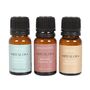 Set Of Three Love Ritual Blended Essential Oils, thumbnail 2 of 2