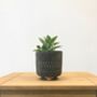 Elegant Houseplant Planter Totem Design, thumbnail 3 of 5