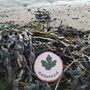 Beach Scavenger Hunt Wooden Disc Bag, thumbnail 4 of 4