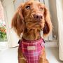 Check Her Out Step In Dog Harness, thumbnail 8 of 9