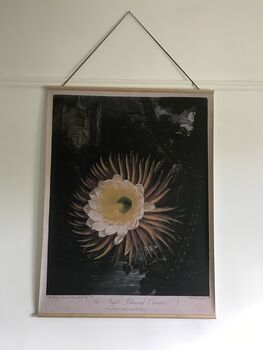 Canvas Wall Hanging The Night Cereus, 3 of 3