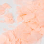 Peach Wedding Confetti | Biodegradable Paper Confetti, thumbnail 3 of 7