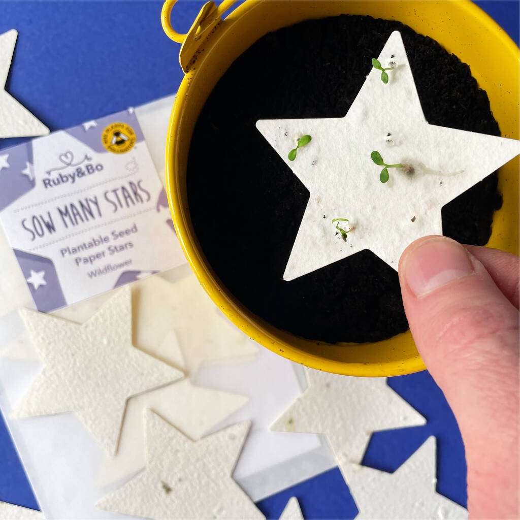 'Sow Many Stars' Plantable Seed Paper Stars, 1 of 9