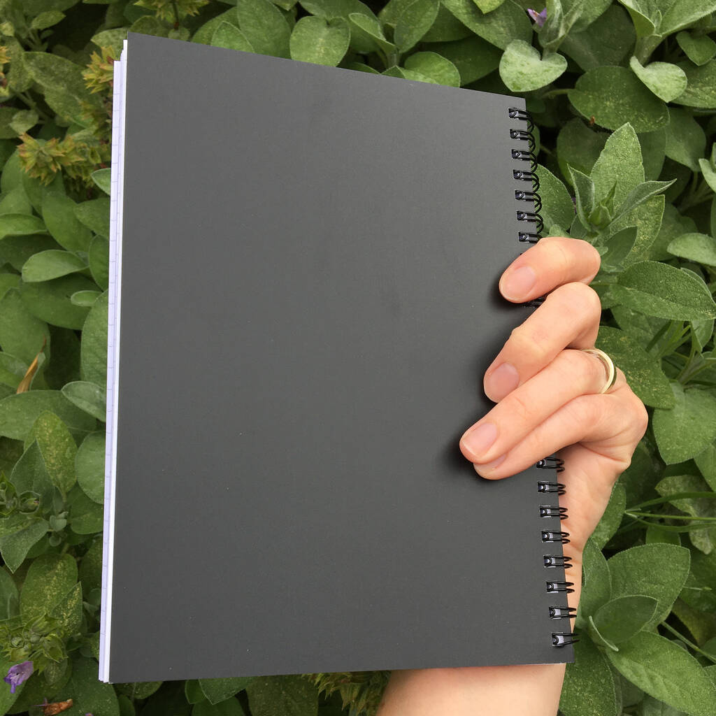 Elephant Toothpaste Chemistry Experiment Notebook By Flaming Imp