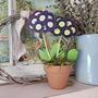 Primula Auricula Wooden Flower Decoration Gift, thumbnail 4 of 5