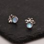Sterling Silver Firefly Stud Earrings, thumbnail 7 of 12