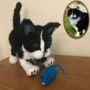 Personalised Crocheted Cuddly Toy Of Your Cat, thumbnail 9 of 12
