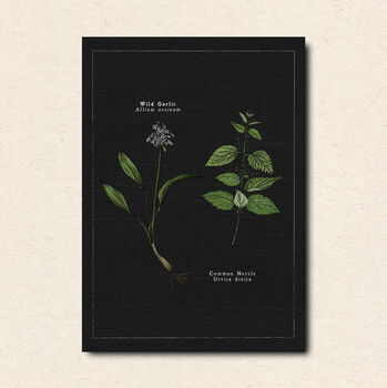 Botanical Art Postcard Pack, 4 of 7