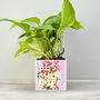 'Best Mum Ever' Mother's Day Plant Pot And Houseplant, thumbnail 2 of 7